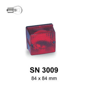 SN 3009